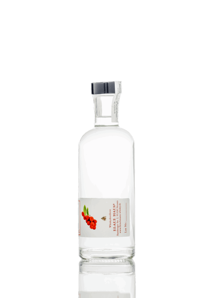 Blaue Maus Vogelbeer Geist 035
